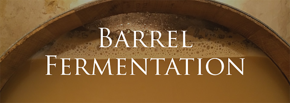 Wine 101: Barrel Fermentation
