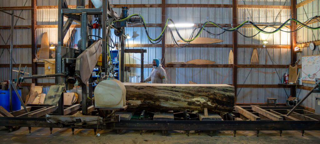 A man looking over a saw mill as it slices a slab of wood off a large oak tree