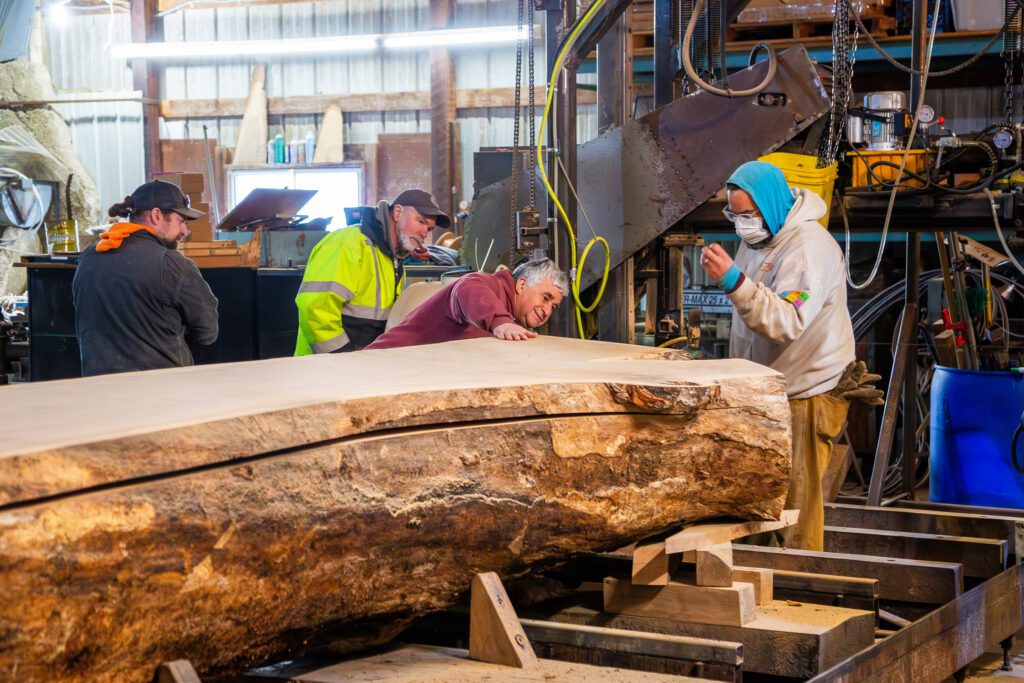 A group of men admire the grain of a slab of oak tree that has been freshly milled
