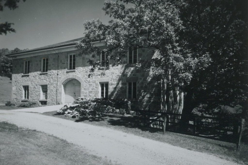 An old black and white photo of the oak tree outside the winery, from 1972.