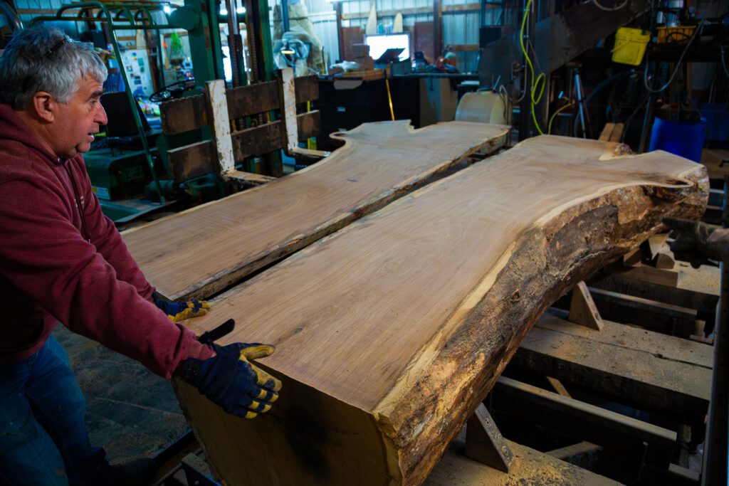 A man looks at a slab of wood milled from a large oak tree. The slab is set next to the remaining log like an open book 