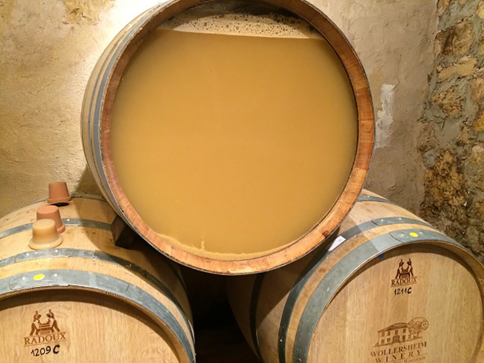 Barrel Fermentation