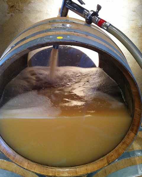 Barrel Fermentation