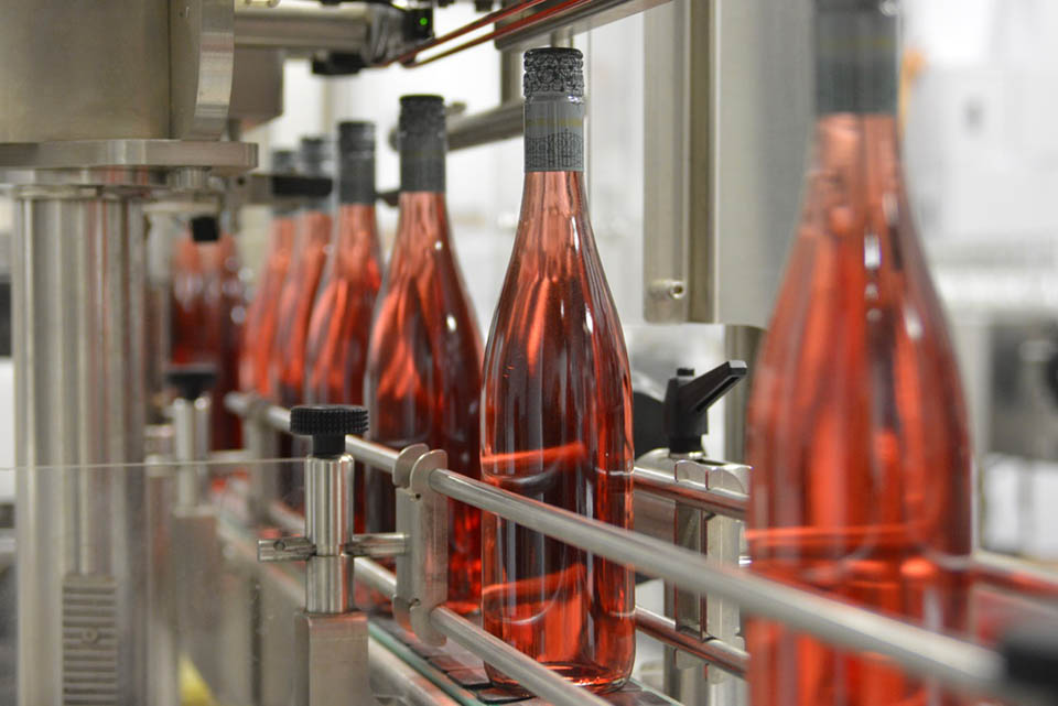 Dry Rosé on the bottling line