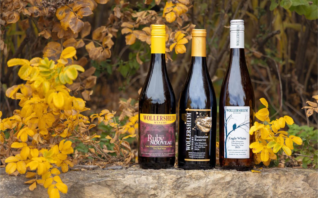 Celebrating the Season with Three New Releases