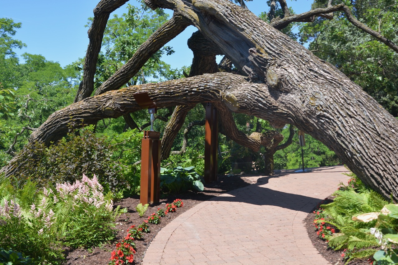 Oak Archway