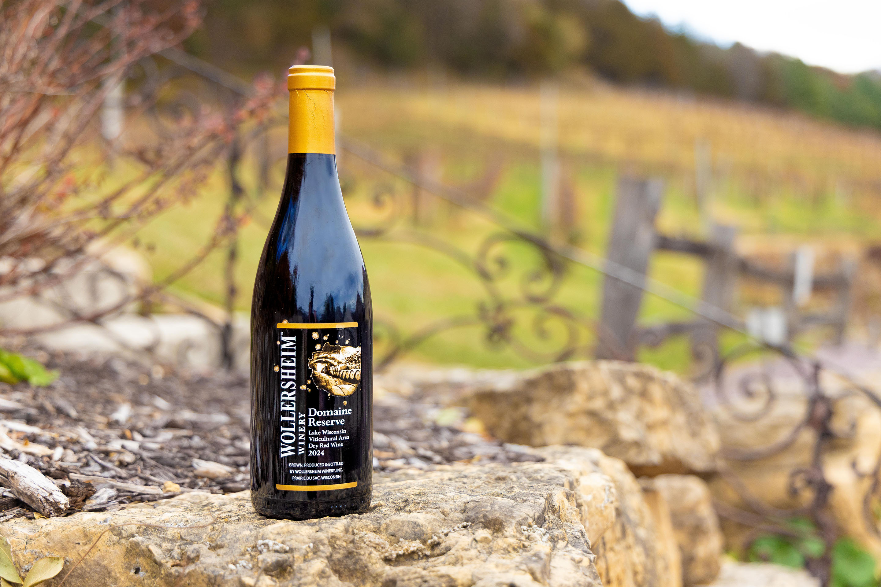A bottle of Wollersheim's 2024 Domaine Reserve, standing proudly on a rock with Field 1 in the background, the field the Reserve's Maréchal Foch grapes are grown.