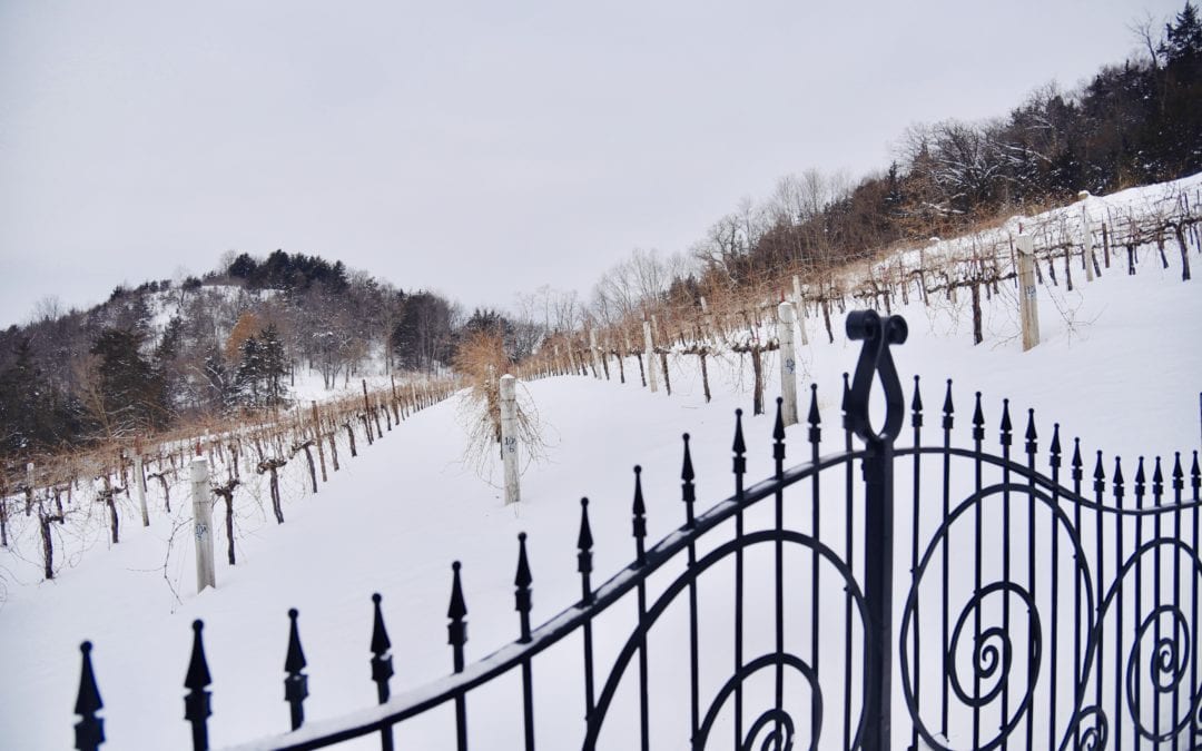 Polar Vortex Hits Wisconsin Wine Country