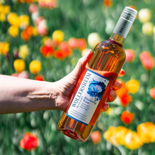 Blushing Rose - Wollersheim Winery