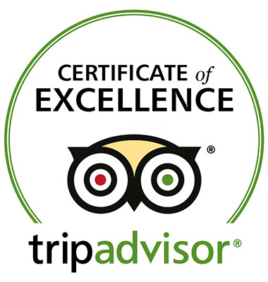 tripadvisor